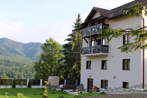 CASA SUNRISE COLIBIȚA – fotografia 6