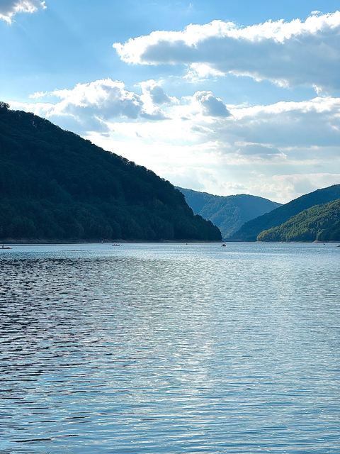 Pensiunea Florina – fotografia 8